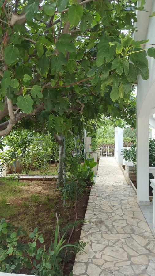 Apartments Marijeta Vir Luaran gambar